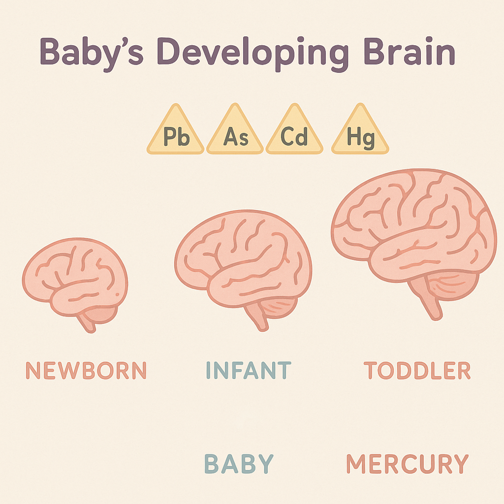 Illustration of growing baby brain with caution icons