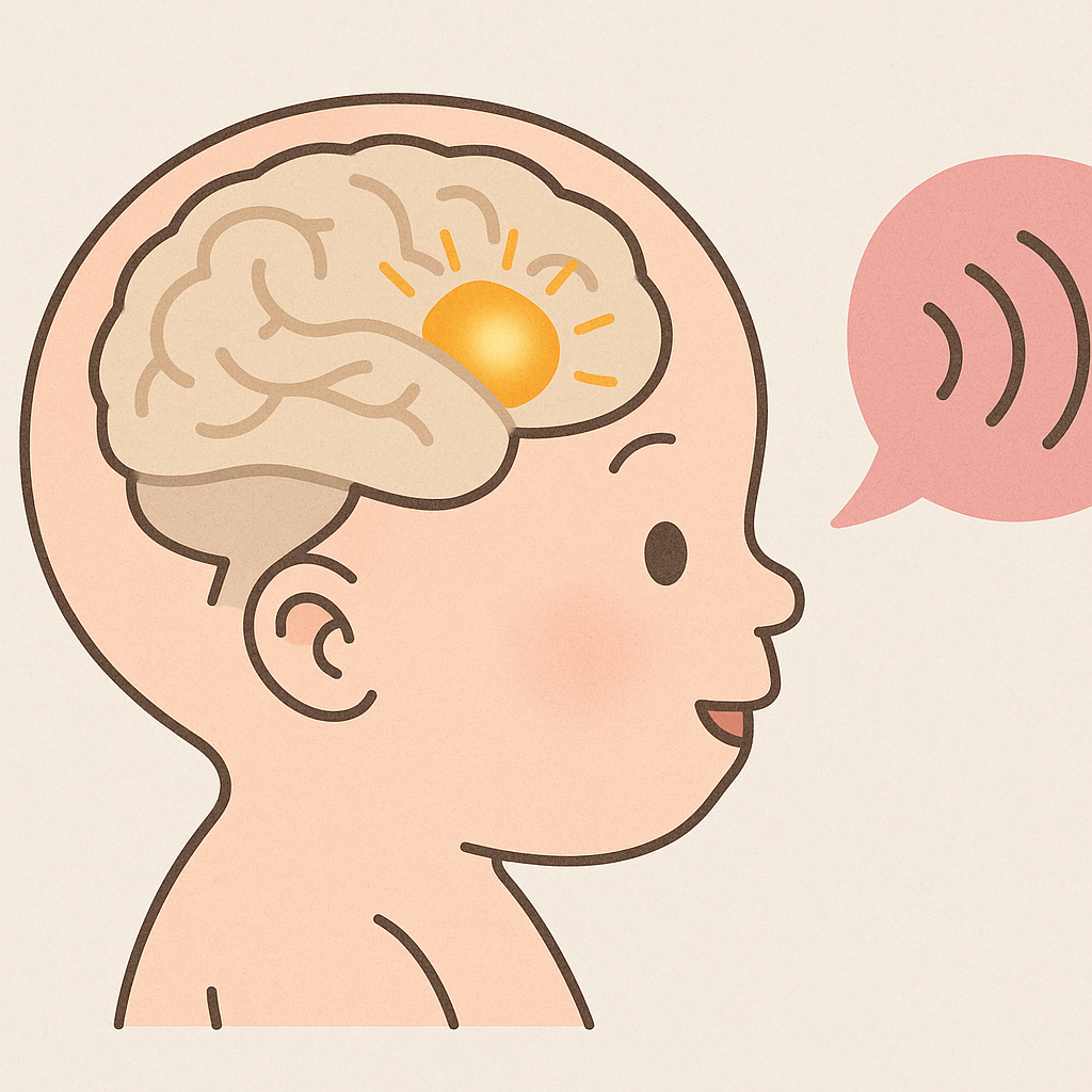 Infant brain highlighting Broca’s area