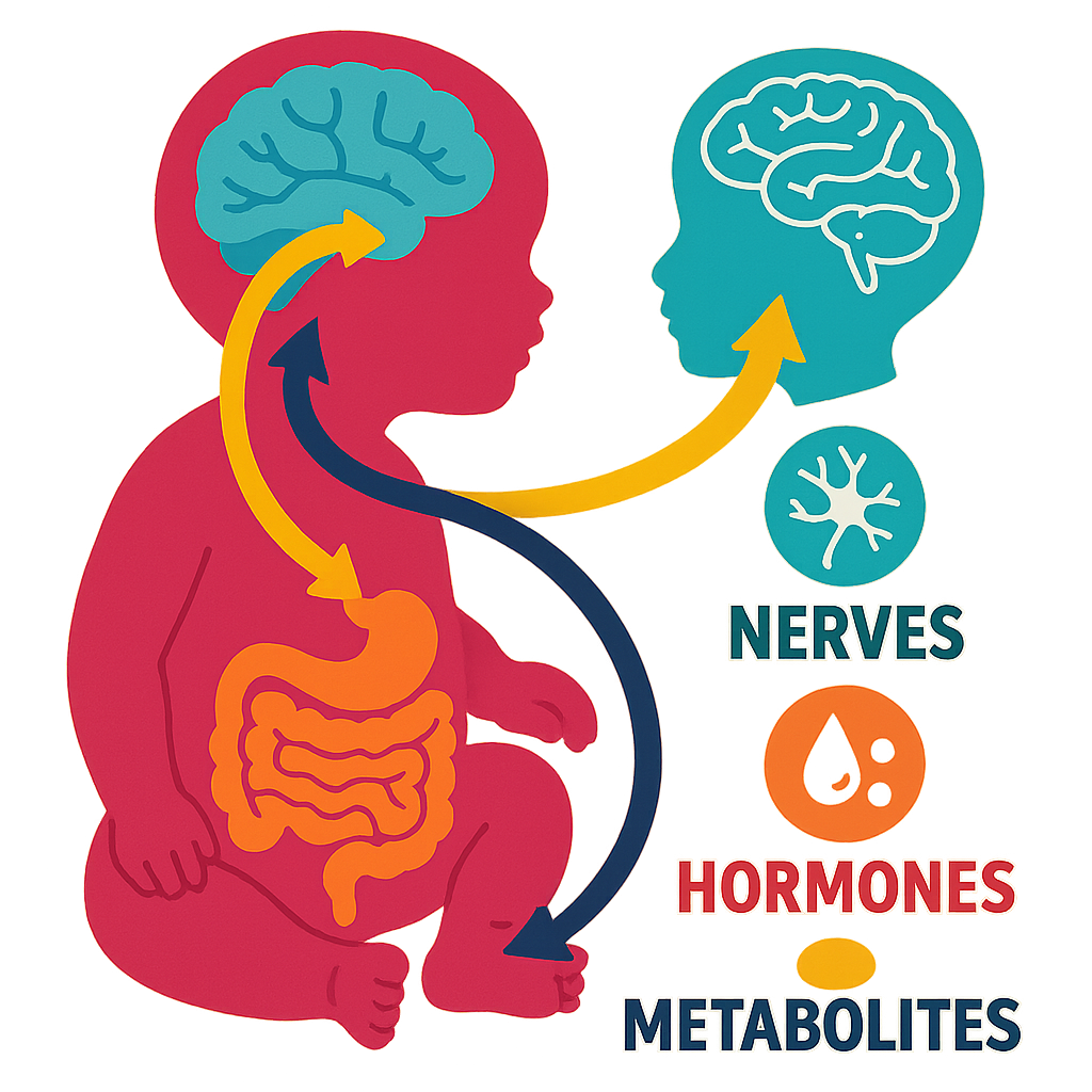 Infant silhouette showing gut-brain arrows