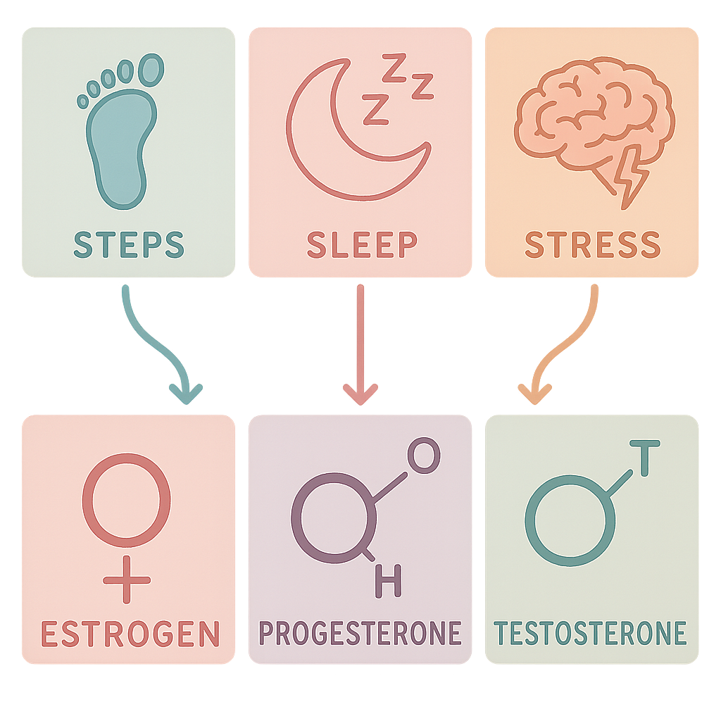 Infographic showing footsteps, a pillow, and a calm brain feeding healthy hormone icons